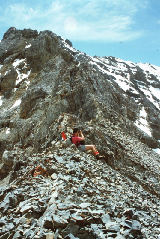 The unclimbed north ridge of USGS.