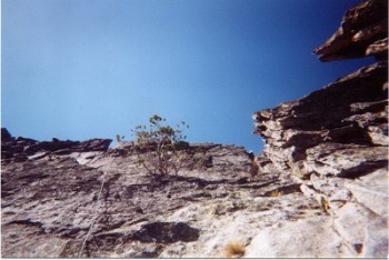 Wright of Center. (I, 5.4). This route is found just to the right of center on the face. The route is 1 and 1/2 pitches in length. Scramble to the base of the face across fallen slabs. The technical route starts up across the light colored slabs that form the lower portion of the face. These slabs angle up steeply to the right and into a small alcove where the first pitch ends. From the alcove, the route climbs directly up a nearly vertical face toward a small tree. Angle to the left until you reach a 6 inch wide ledge which also angles up to the left. From this ledge the route climbs directly to the summit ridge just north of the summit. There are good holds the entire way and lots of good cracks to swallow up your cams. First ascent led by Brian Wright.