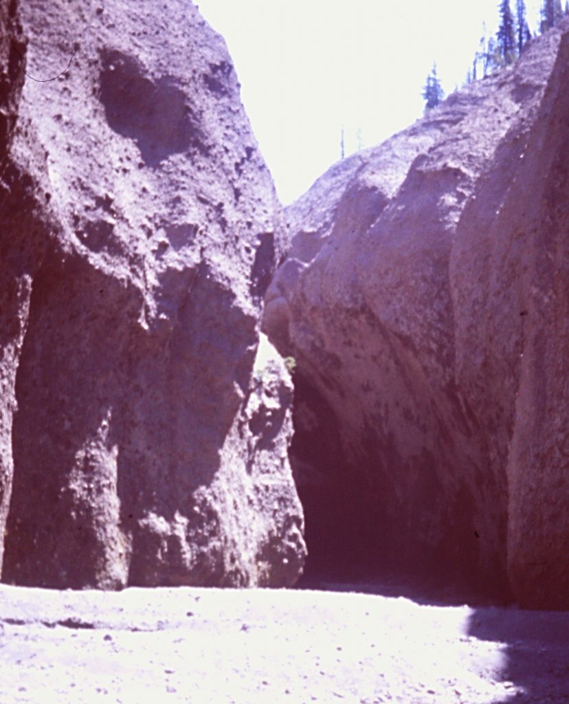 The point where Lloas Hallway empties into Whitehorse Creek.