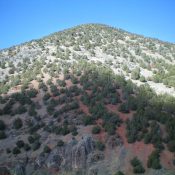 Peak 6230 as viewed from the south. The south ridge is surprisingly rocky. Livingston Douglas Photo