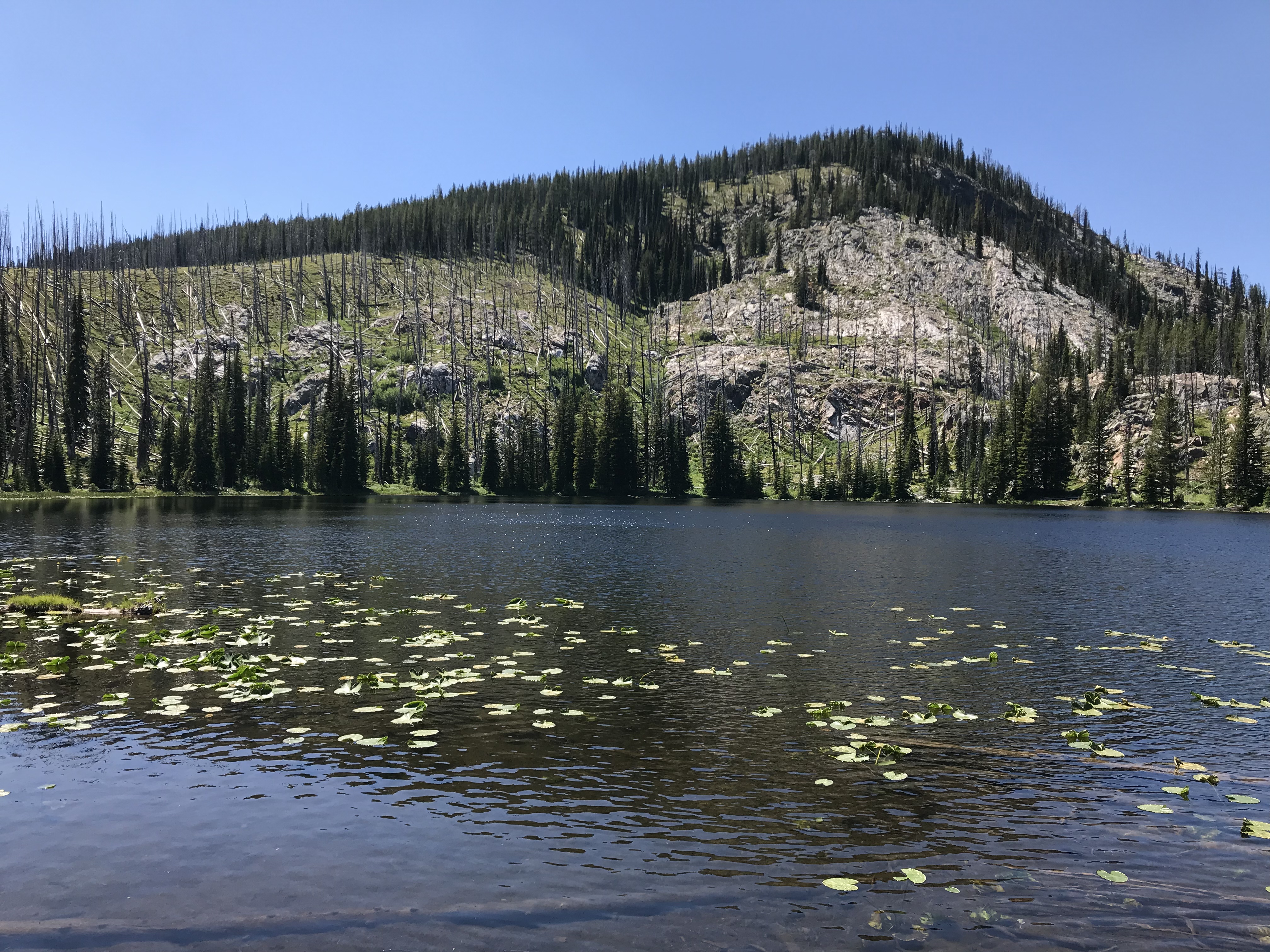 California Lake represents one of the many tupes of terrain found in the northwest corner of the Salmon River Mountains.
