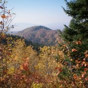 Reclusive Peak 7660 as viewed from the northeast. The open, brushy summit cap is behind the pine forest in this photo. Livingston Douglas Photo