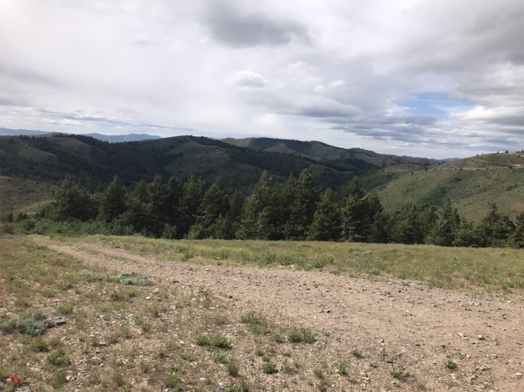 Looking north from Peak7217 to John Evans Mountain.