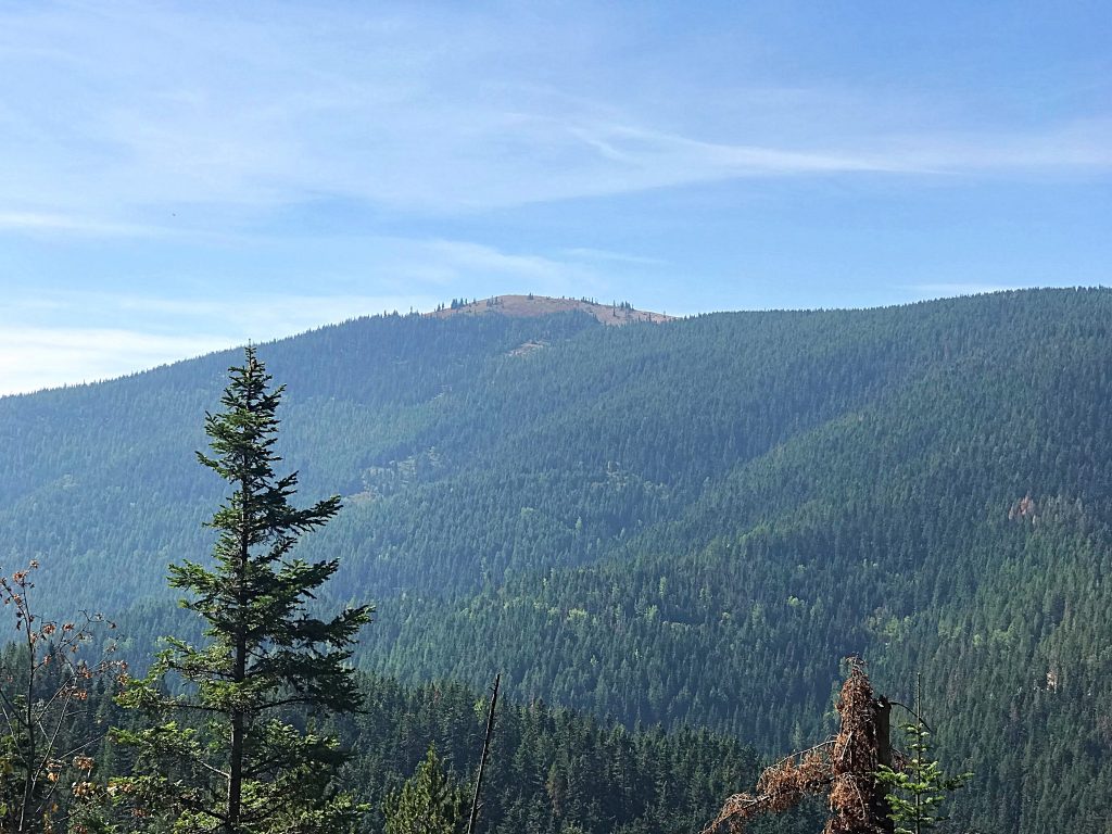 North Chilco Mountain viewed from Prospect Peak.