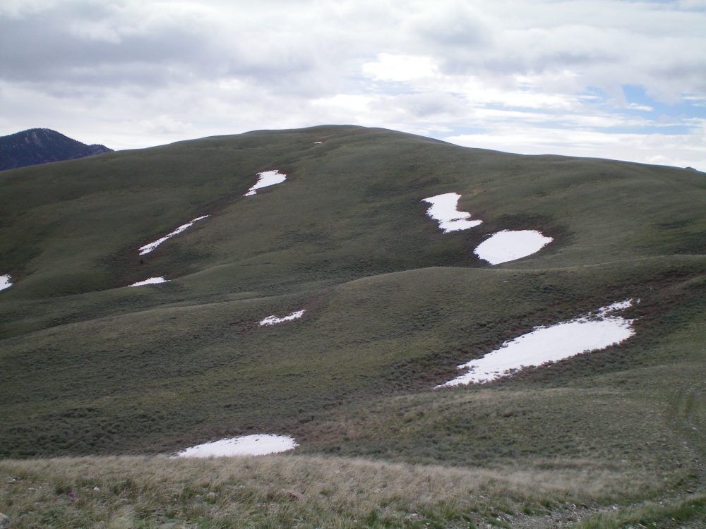 The final climb to the summit of Peak 7768. The West Ridge is on the right skyline. The West Face is in the middle of the photo. Livingston Doug Photo 