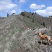 Camp Howard Ridge viewed from the south. John Platt Photo