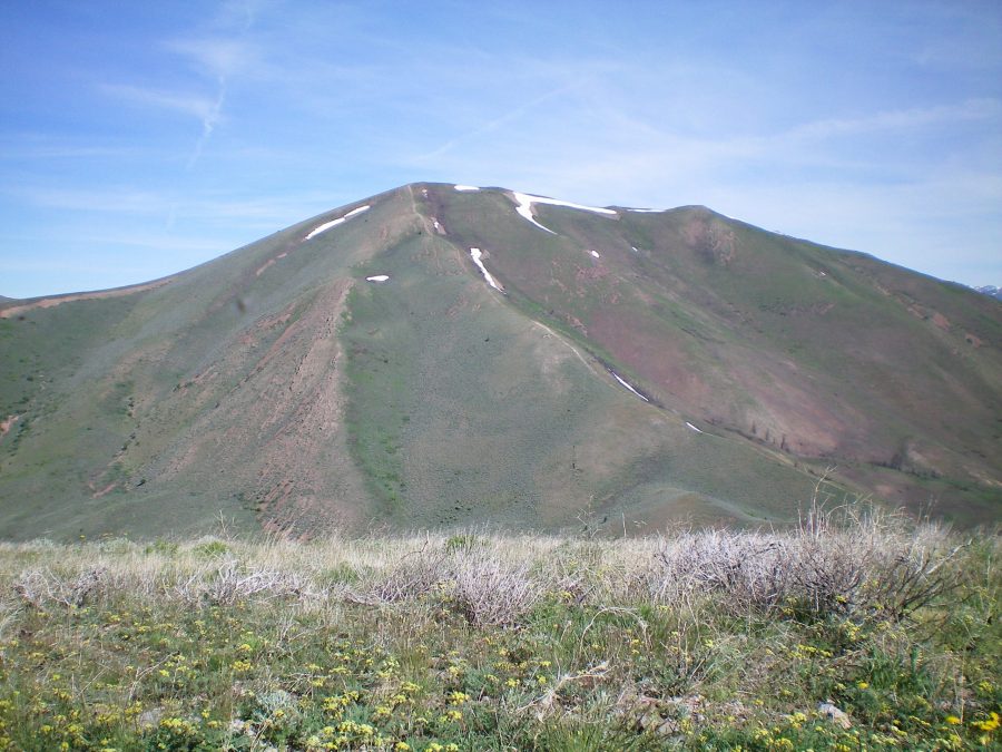Vue Benchmark (summit is just left of center) viewed from the south. The Southeast Ridge goes from the lower right of the photo up to the summit, with the “dozer line” visible. Livingston Douglas Photo