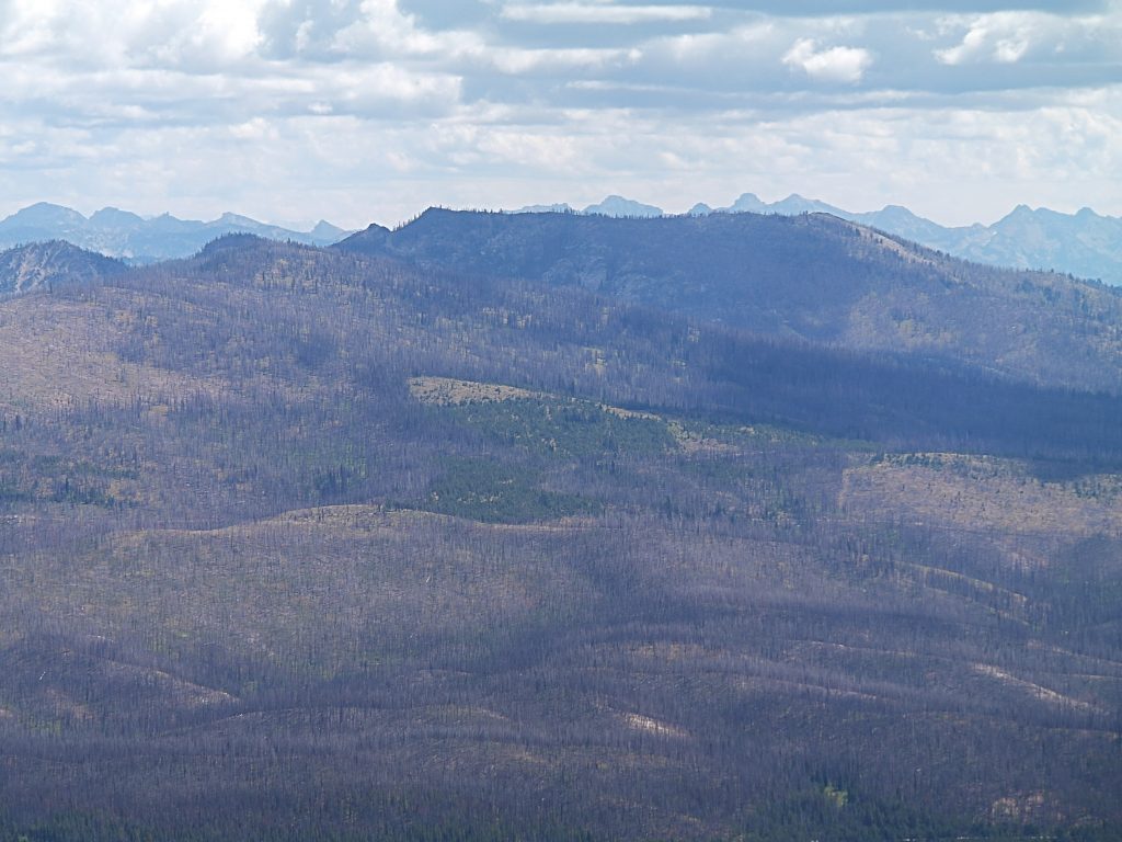 Red Mountain viewed from Whitehawk Mountain.