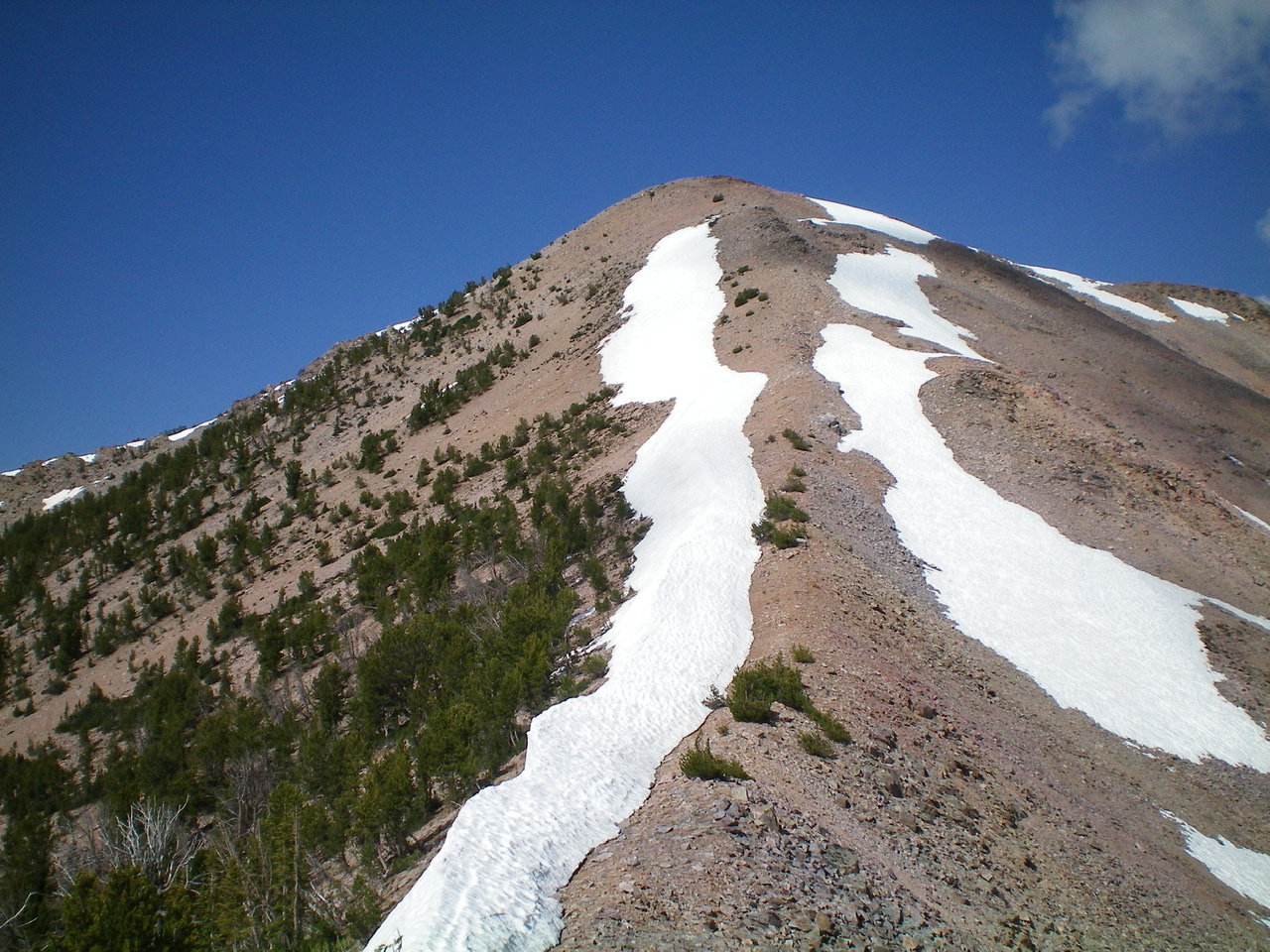 The easy Northeast Ridge of Peak 10349 as viewed from just E of the connecting saddle at the base of the ridge. Lots of lingering snow on both sides of the ridge. Livingston Douglas Photo 