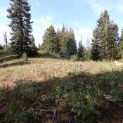 The summit area of Peak 5980. John Platt Photo