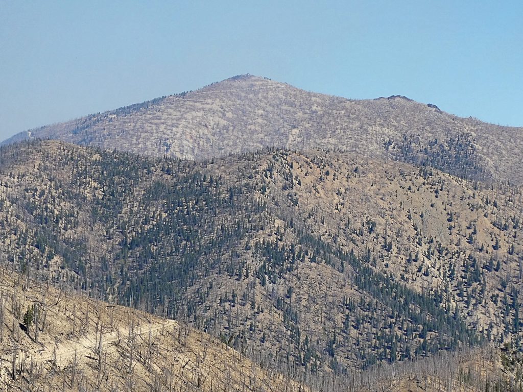 Pinyon Peak from Feltham Creek Point.