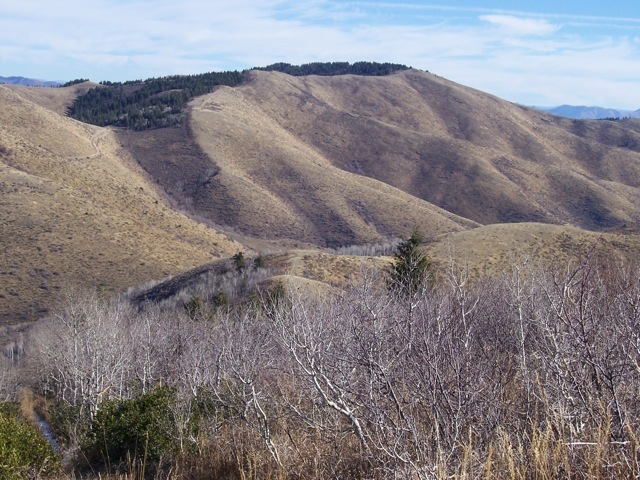 View NE to John Evans Mountain on 11/4/09. By early November cows are off the range, main hunting season is over, and the land is quiet. Rick Baugher Photo