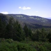 Thurmon Ridge (partially forested, in center at a distance) as viewed from the southwest. Livingston Douglas Photo