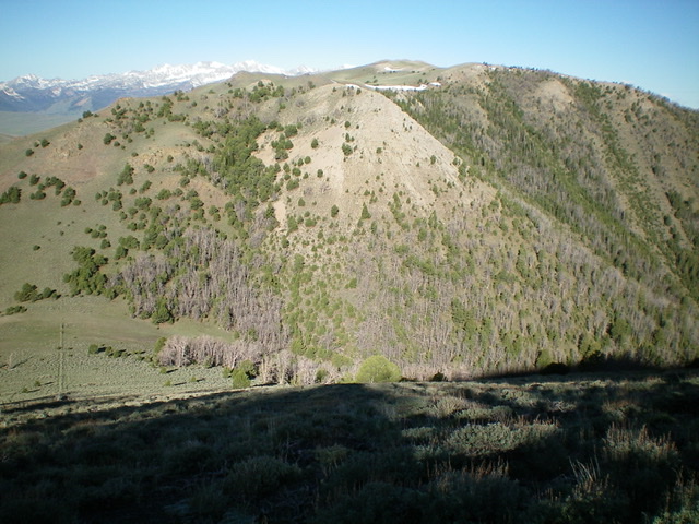 Looking back at Peak 9863 from the southwest ridge of North Cabin Mountain. The connecting saddle is on the far left of the photo. Livingston Douglas Photo 