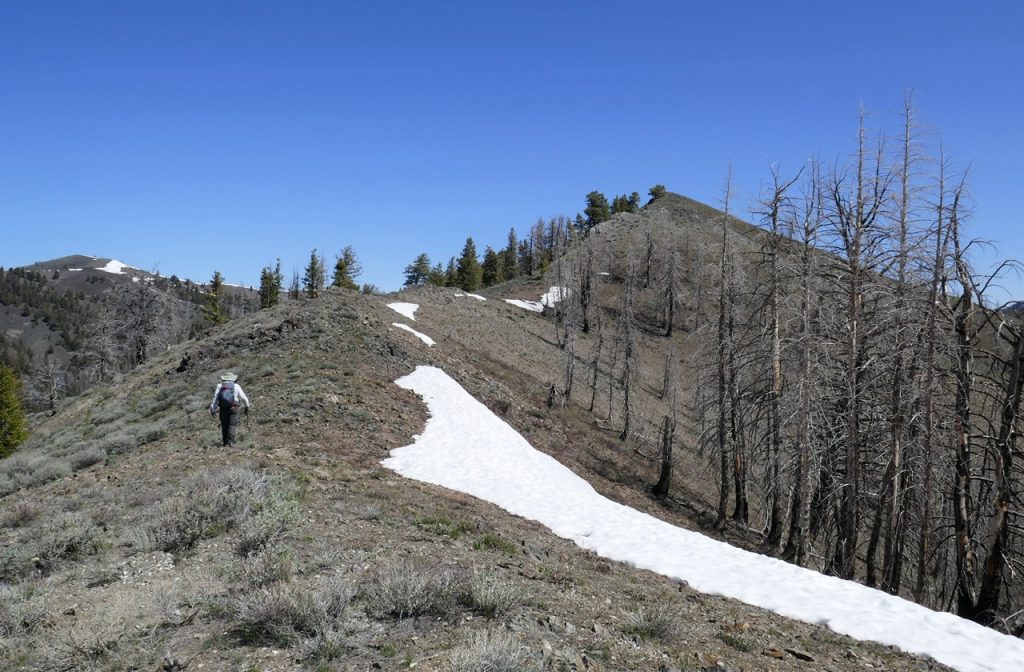 Hiking the trailless east side ridge is for the most part across easy, open slopes. 