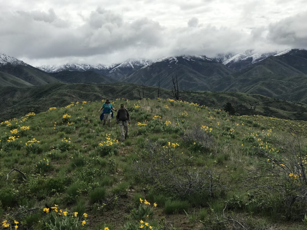 Hiking up the east ridge.