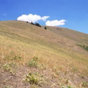 The south slopes of Cannon Ball Mountain. Mike Hays Photo