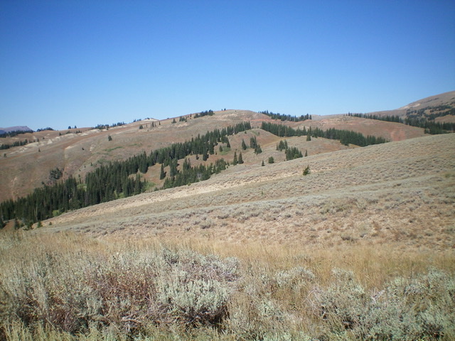 Peak 8660 (dead center) as viewed from high on the east ridge. Livingston Douglas Photo 