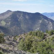 Peak 9044 as viewed from the summit of Peak 8923. The summit is the charred hump left of center. Point 8852 is the forested hump right of center. The rocky, knife-edged West Ridge is right of center (in front of the skyline ridge) and leads up to a ridge finger just left of Point 8852. It is a challenging climb. Livingston Douglas Photo