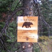 The Twin Creek drainage (on the east side of Peak 7793) is prime grizzly country. Beware. Livingston Douglas Photo 