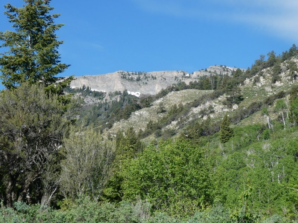 Elkhorn Peak viewed from Mill Creek.