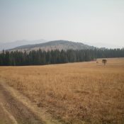 Peak 8377 (forested hump in center) as viewed from the southwest. Livingston Douglas Photo