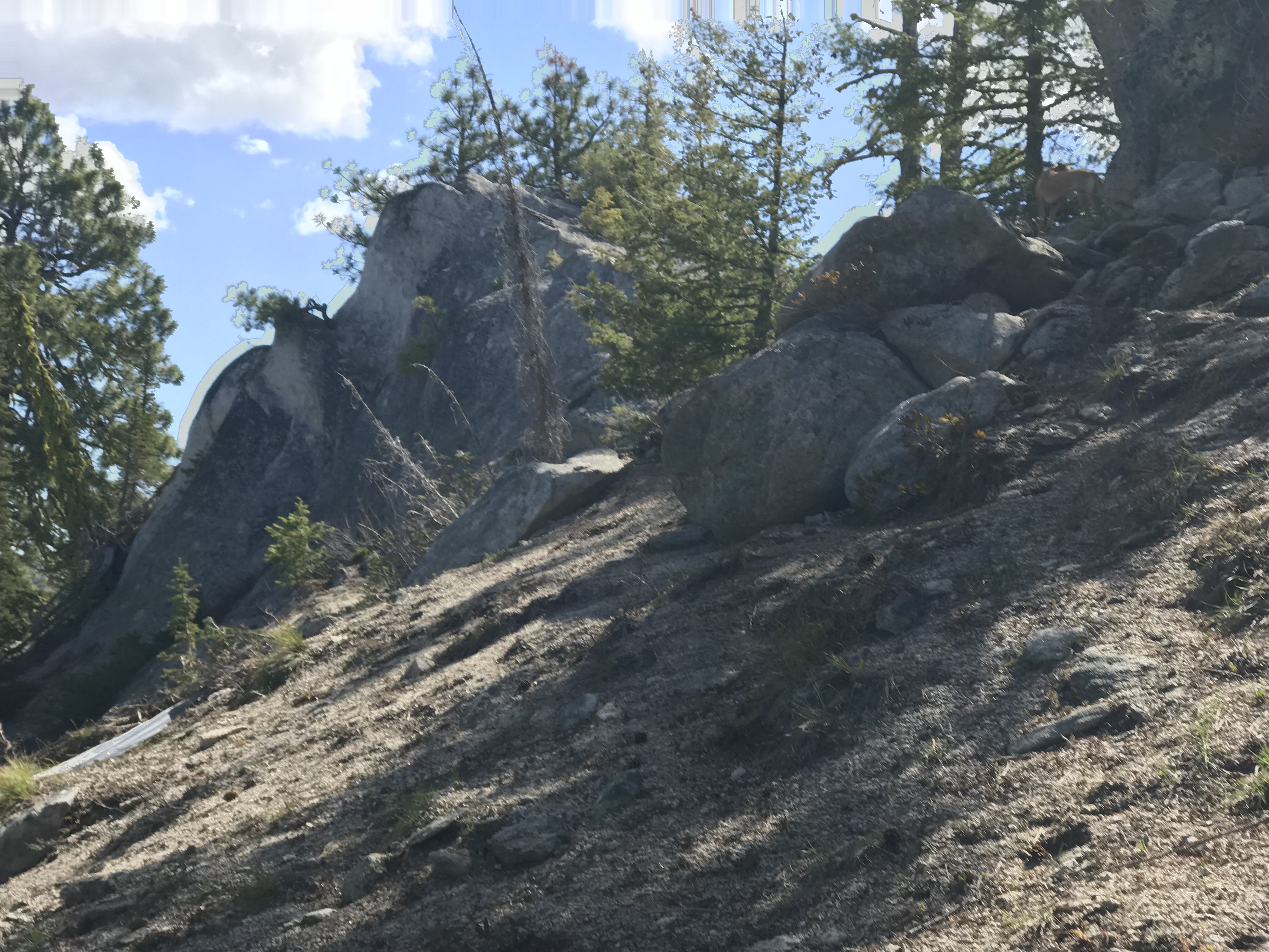 The summit is a granite outcrop surrounded by small trees.