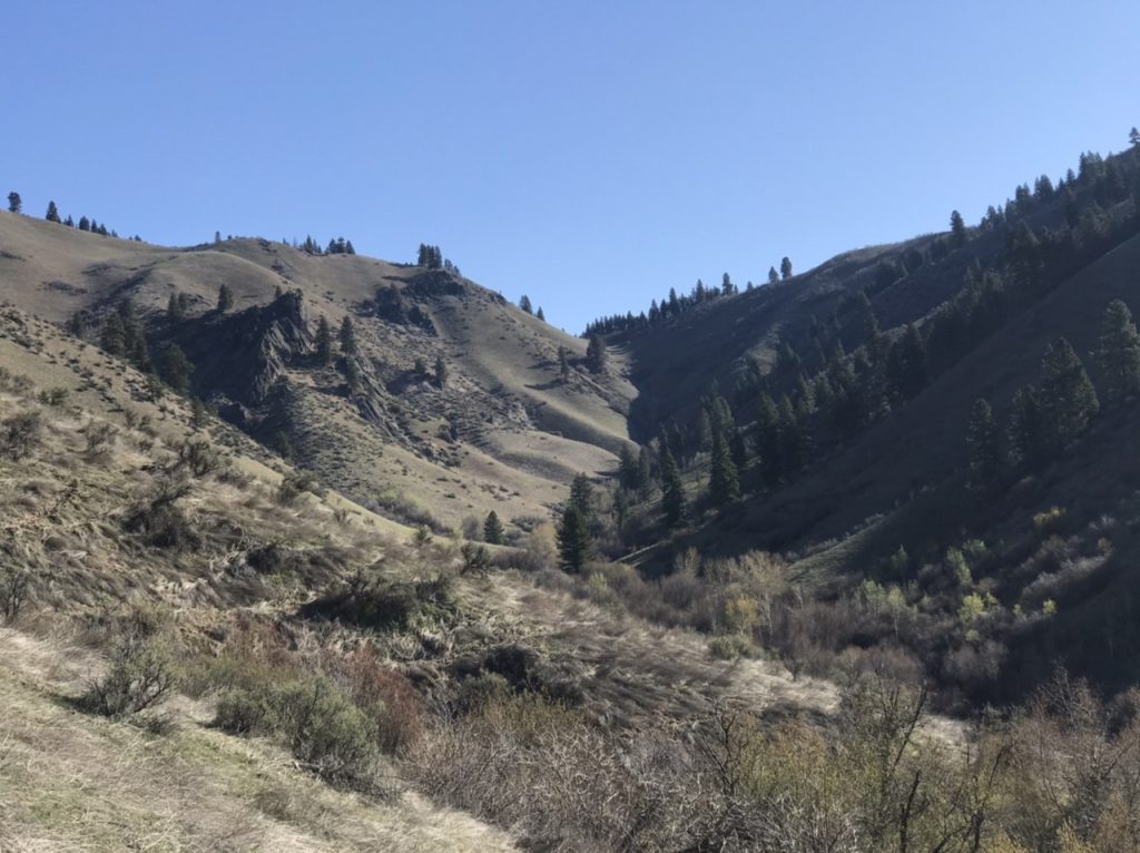 Looking up the Little Gallagher Creek drainage to the saddle. The game trails stay on the left hand, grassy slopes.