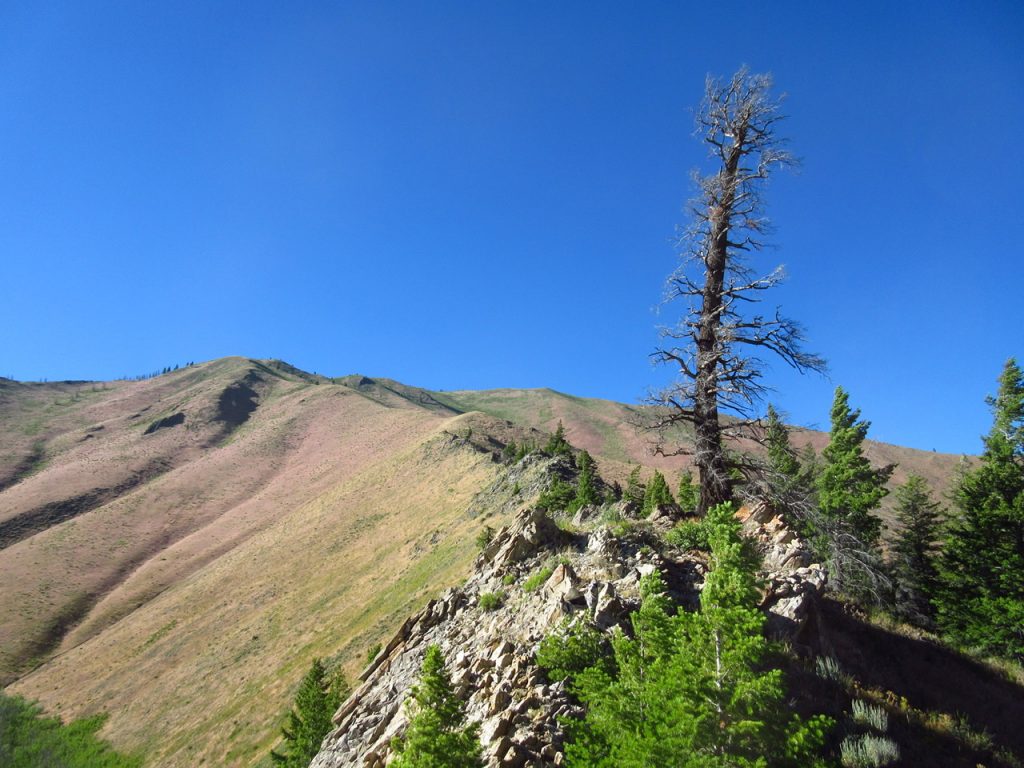 Once you get past the steep start, pleasant ridge hiking is found on the South Ridge (east variation shown in photo). Derek Percoski Photo