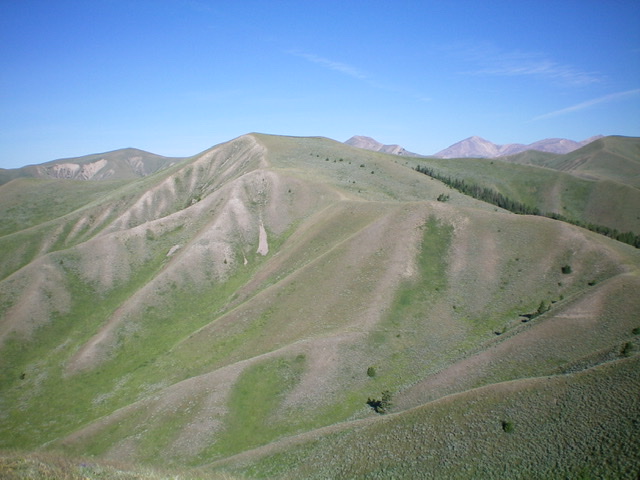 Peak 8661 (flattish hump, left of center) as viewed from farther east on the Continental Divide. Livingston Douglas 