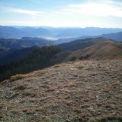 Chicken Ridge as viewed from the summit of Peak 9285. It is the first ridge in the photo that is beyond the broken rock of the summit. The ridge is heading sharply left and becomes forested pretty quickly. Livingston Douglas Photo