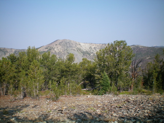 Goldstone Mountain as viewed from the southeast The summit is left of center. The long northeast ridge extends rightward from it. Livingston Douglas Photo 