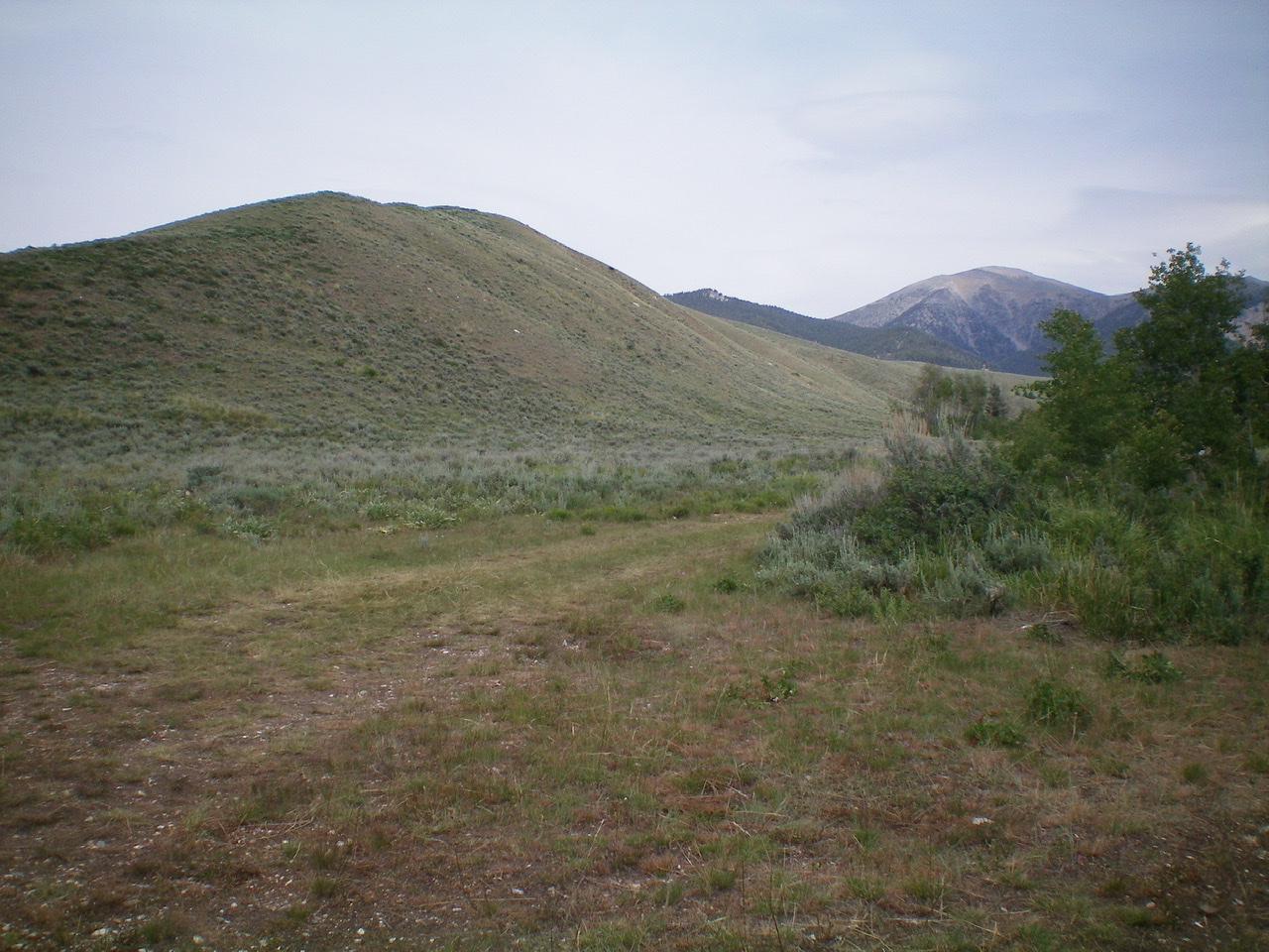 The long Southeast Ridge of Sheep Mountain, as viewed from Sawmill Canyon Road. The summit is bald and is right of center, with the forested Southwest Ridge leading up to it. Livingston Douglas Photo 
