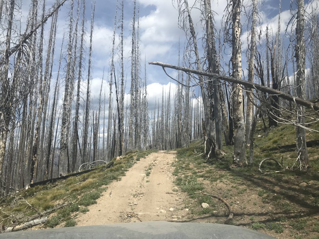 Deadfall is a constant threat along the route. There is no cell phone coverage. If your way out is blocked by fallen trees you will have to cut your way out.