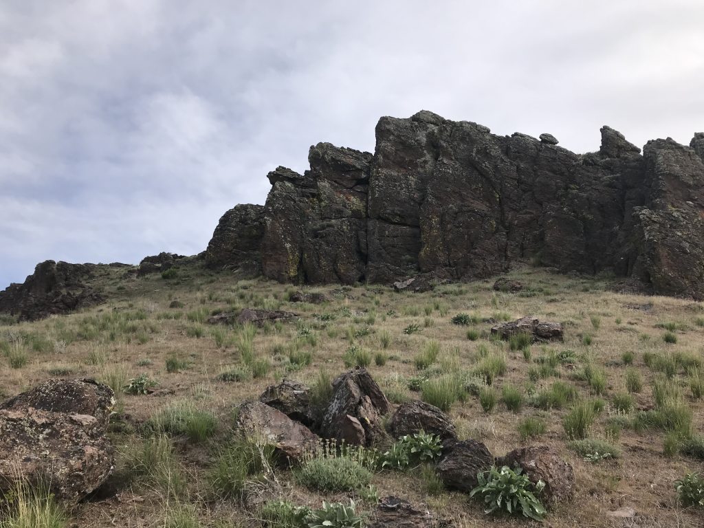 The game trail passes this cliff section on the left.