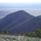 View of forested Peak 8365 (dead center) from the Southeast Ridge of Bloom Benchmark. Livingston Douglas Photo