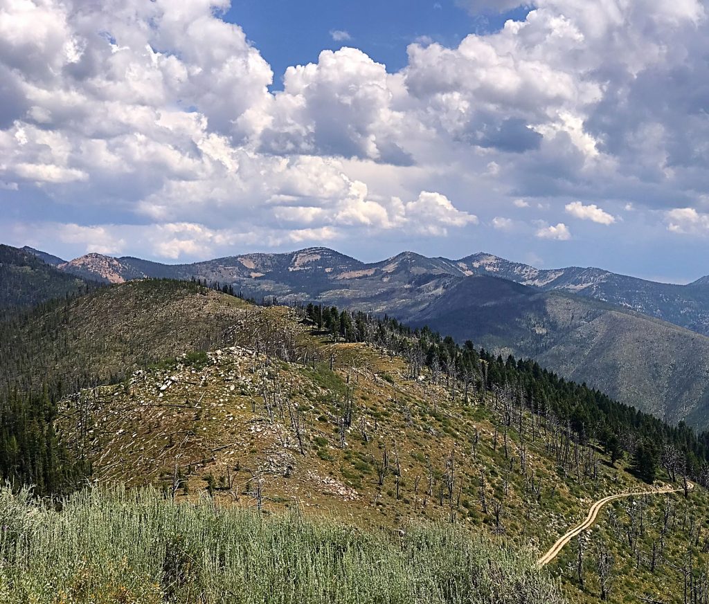 Peak 8060 (just left of center) from Pilot Peak.