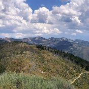 Peak 8060 (just left of center) from Pilot Peak.