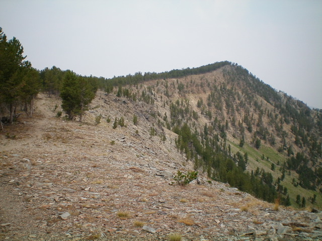 The southeast ridge of Peak 9766. The summit is right of center. Livingston Douglas Photo 