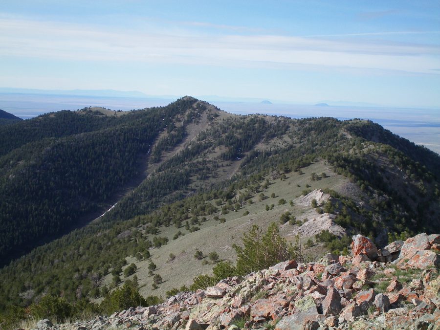 Bloom Benchmark is the high point just left of center, as viewed from the summit of Peak 9877. Livingston Douglas Photo