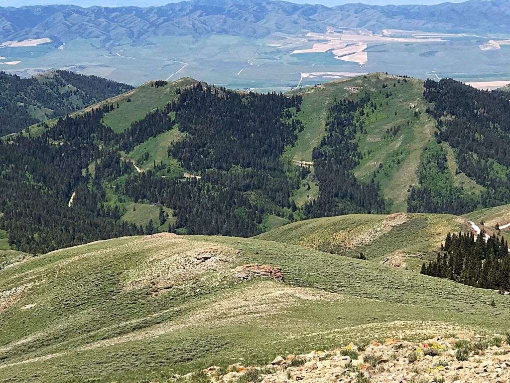 Peak 7814 has a twin summit just to its north which is 7,804 feet high.