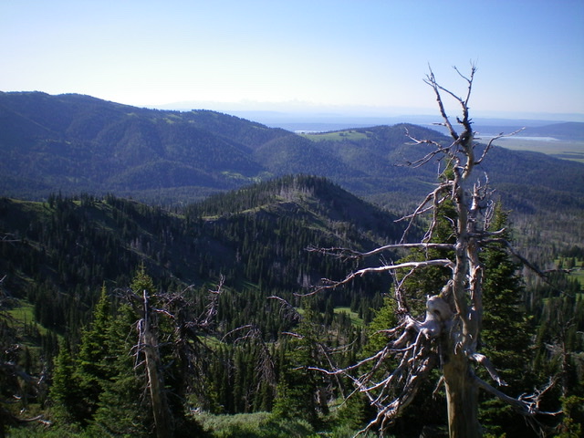 The mid-section of the south ridge of Peak 8787 (mid-ground). Livingston Douglas Photo 