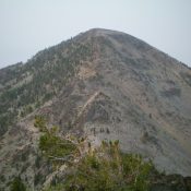 Peak 9755 and its magnificent, rocky northeast ridge (viewed head-on). Livingston Douglas Photo