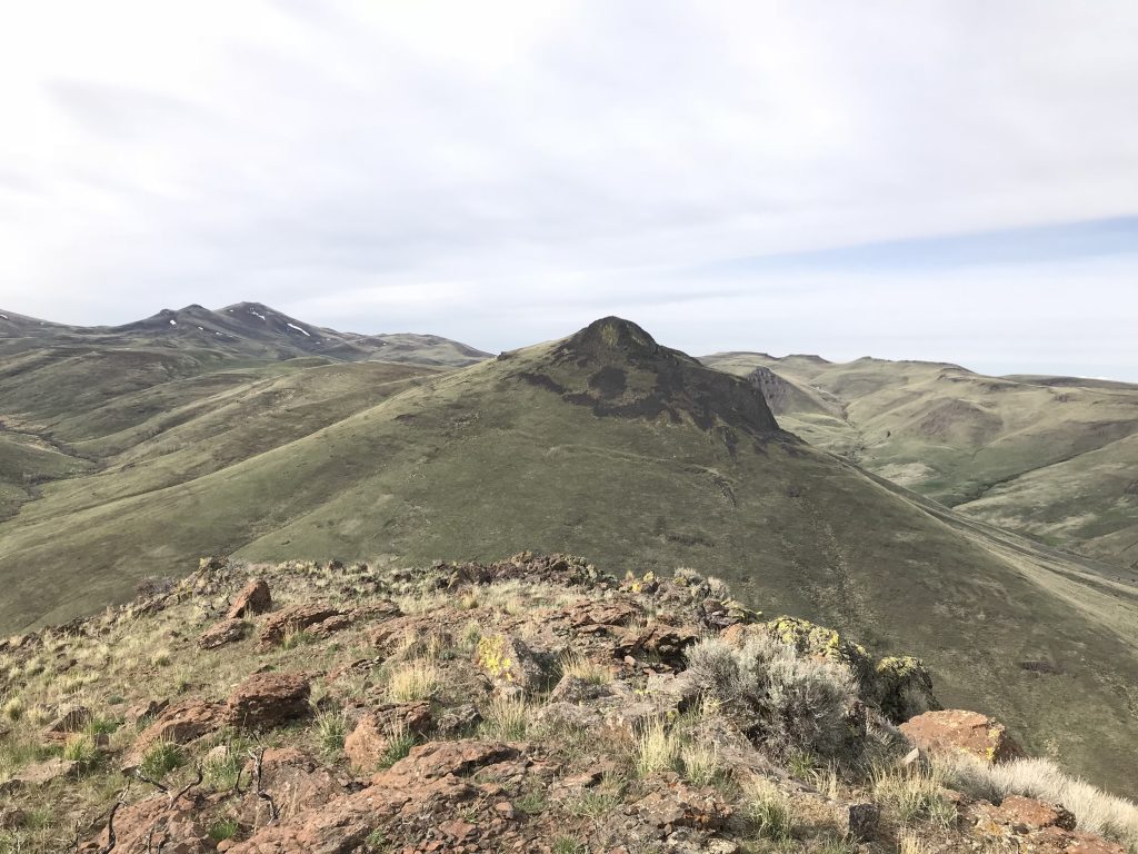 Piute Butte from Dryden Peak.