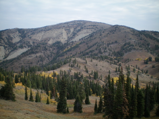 Big Elk Mountain (dead center in the distance) as viewed from the southwest. Livingston Douglas Photo 