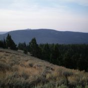 Peak 8386 is the long forested ridge in the distance, as viewed from the north across Targhee Pass. Livingston Douglas Photo