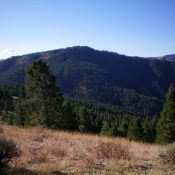 Poker Peak (forested in center) as viewed from the north. The summit sits about 3/4 mile back from the visible forest. Livingston Douglas