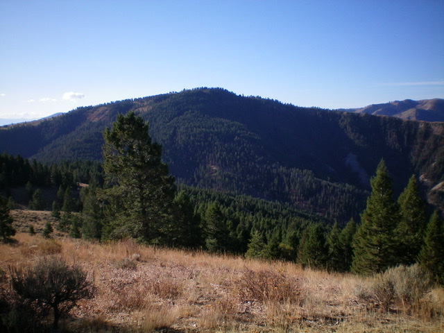 Poker Peak (forested in center) as viewed from the north. The summit sits about 3/4 mile back from the visible forest. Livingston Douglas 