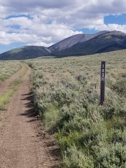 On this road toward Bell Mtn. Canyon
