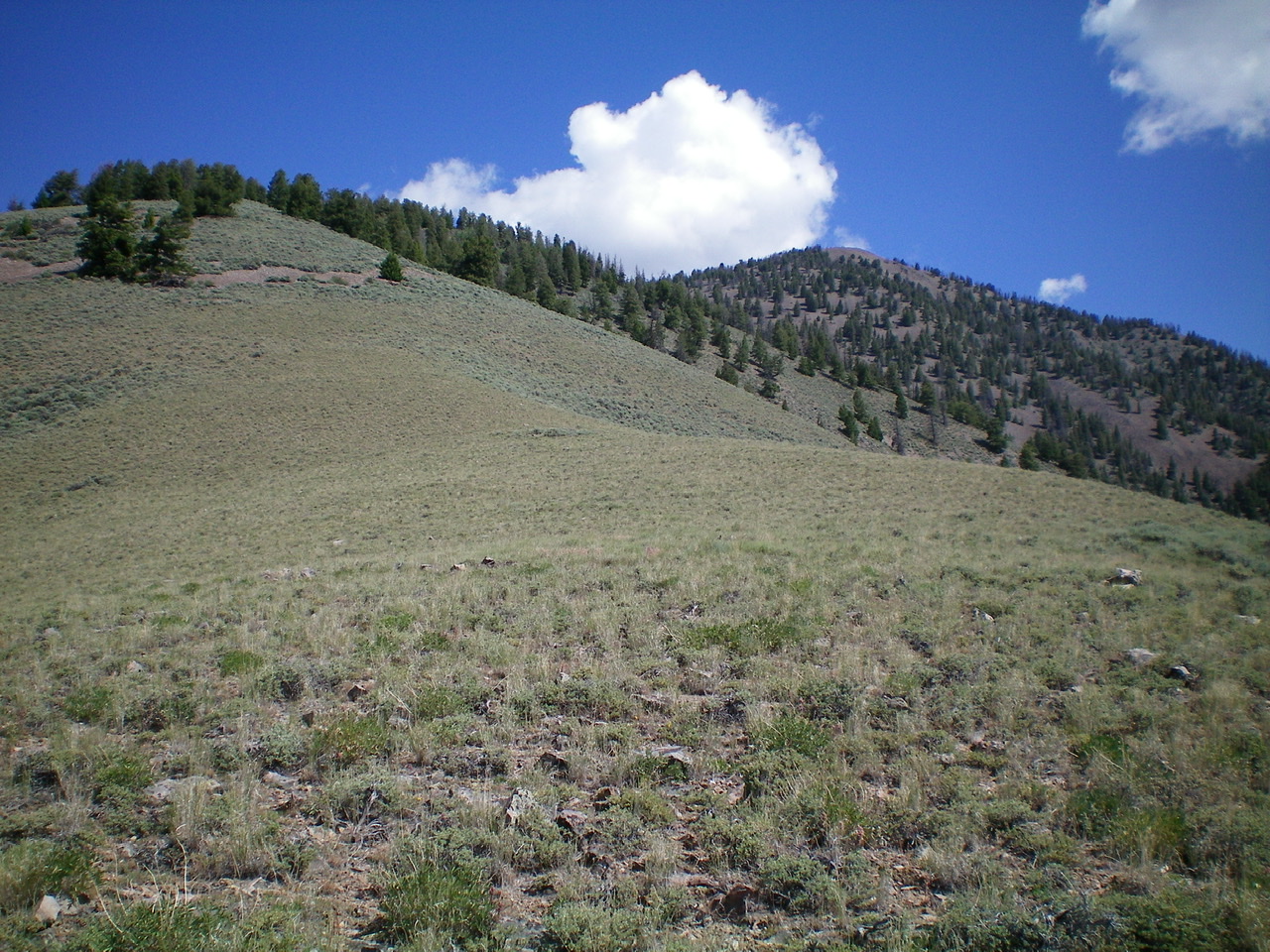 The South Ridge of Peak 9366 as viewed from the sagebrush slope of the lower South Ridge. The summit is right of center. Livingston Douglas Photos 